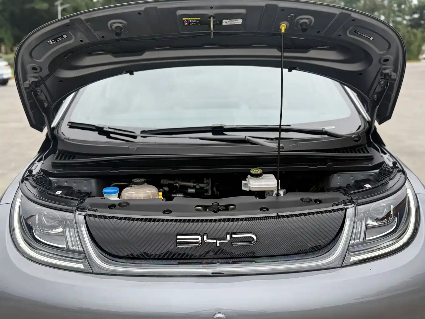BYD Dolphin 2023 420km Fashion Edition фото 23