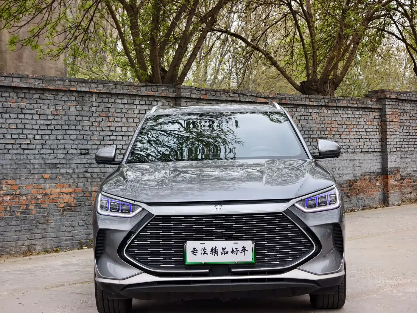 BYD Song PLUS PHEV 2021 DM-i 51KM Honor фото 2