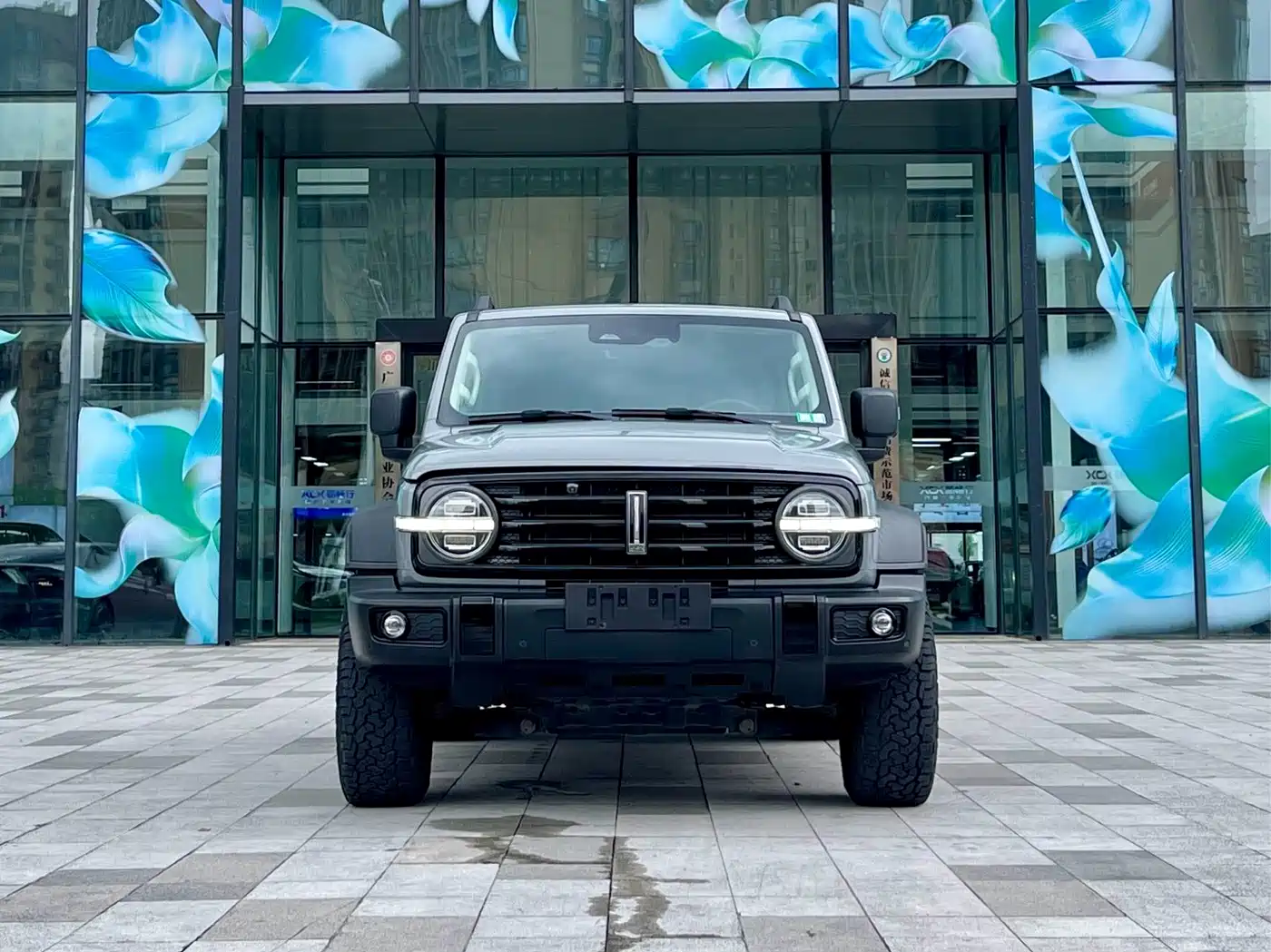 Tank 300 2021 2021 Off-road Version 2.0T Conqueror