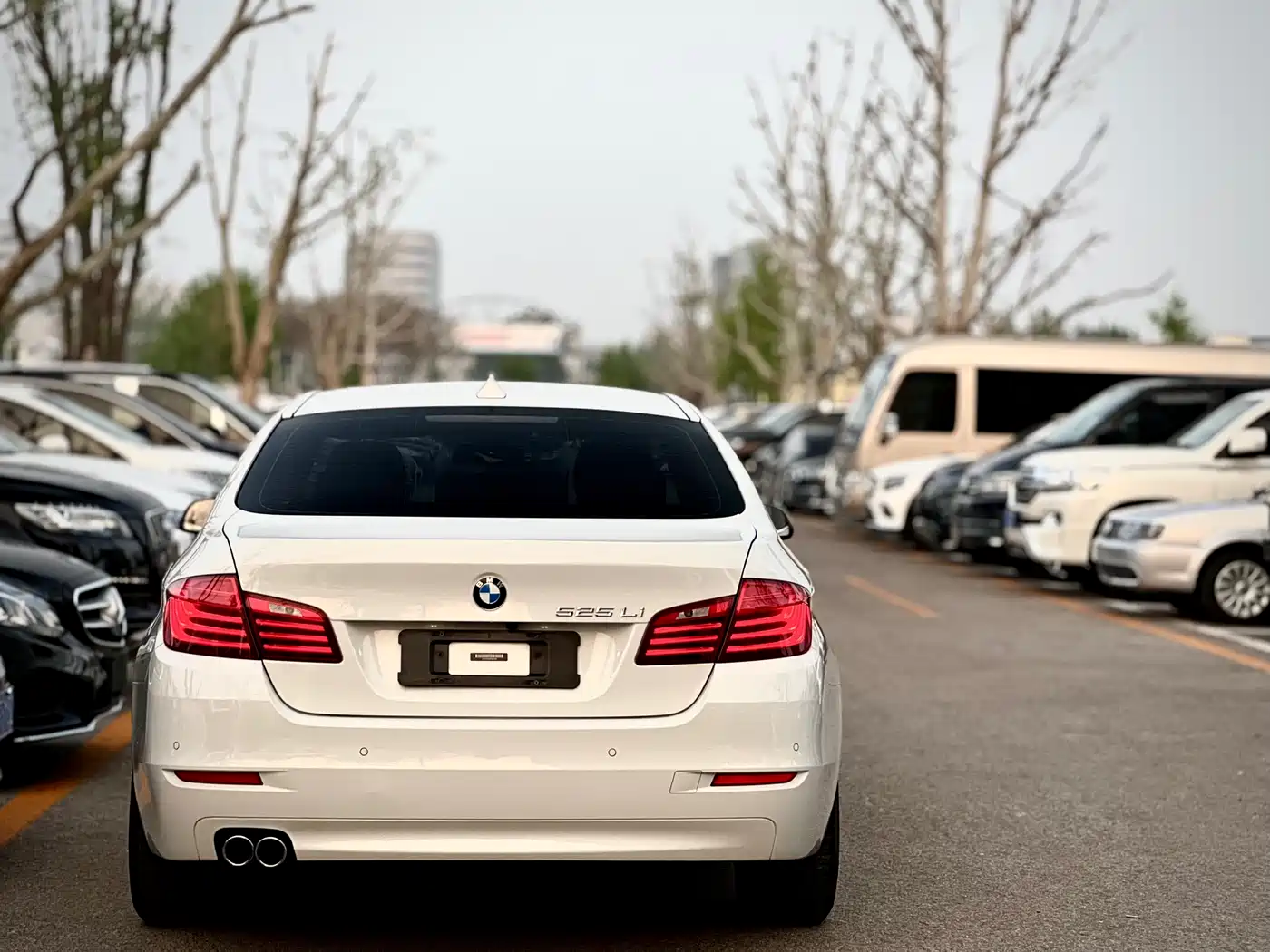 BMW 5 Series 2014 525Li Leading фото 7