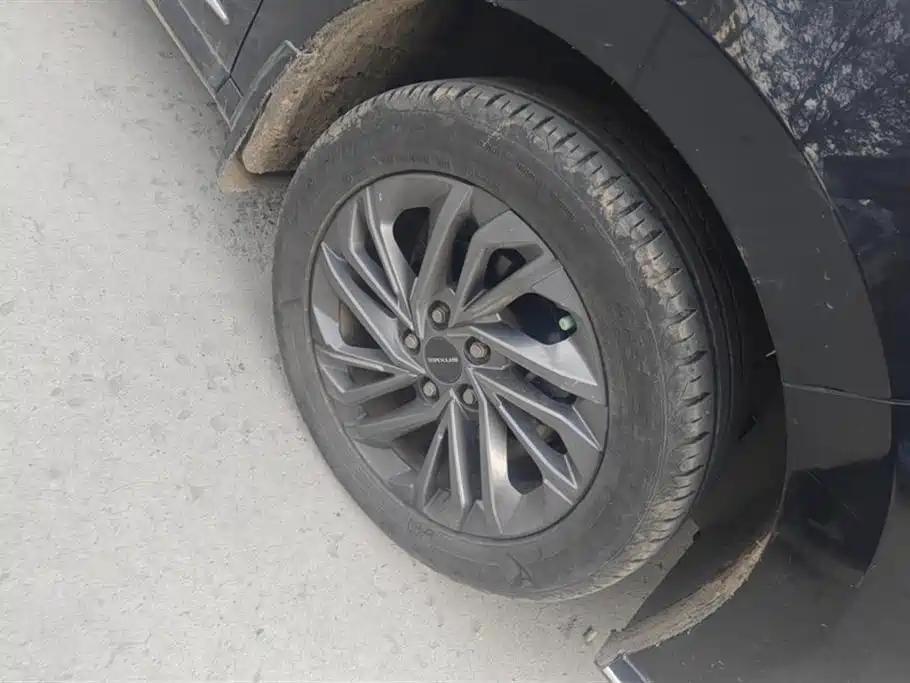 SAIC MAXUS CHASE G50