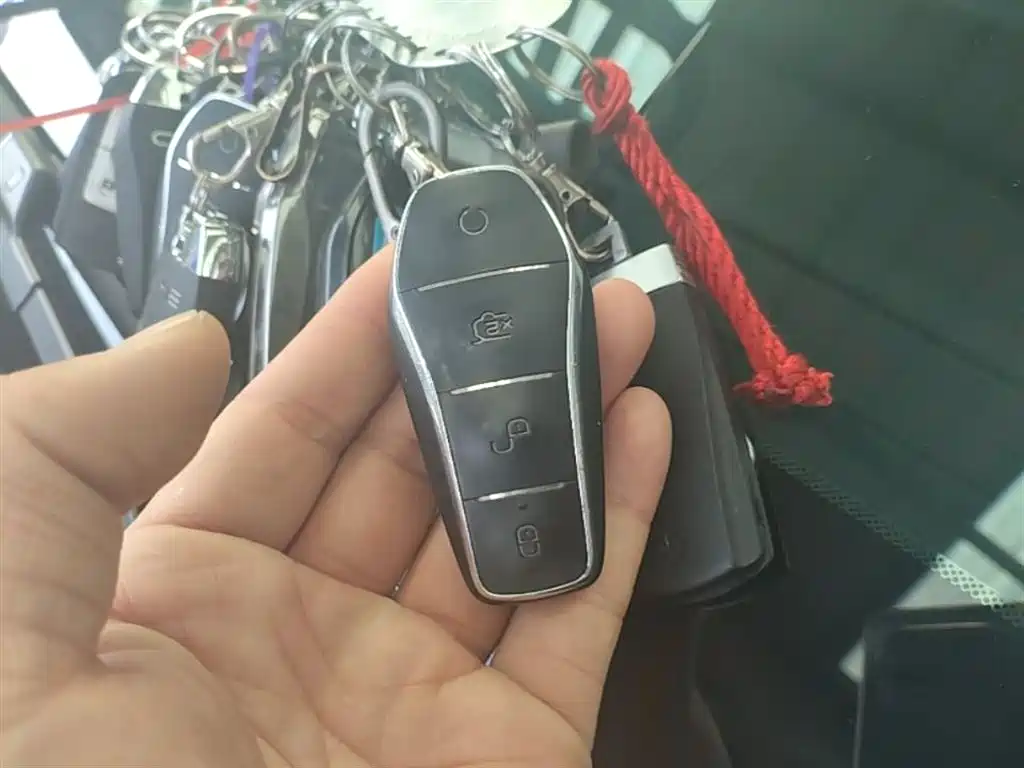 BYD SONGJIANG NEW ENERGY
