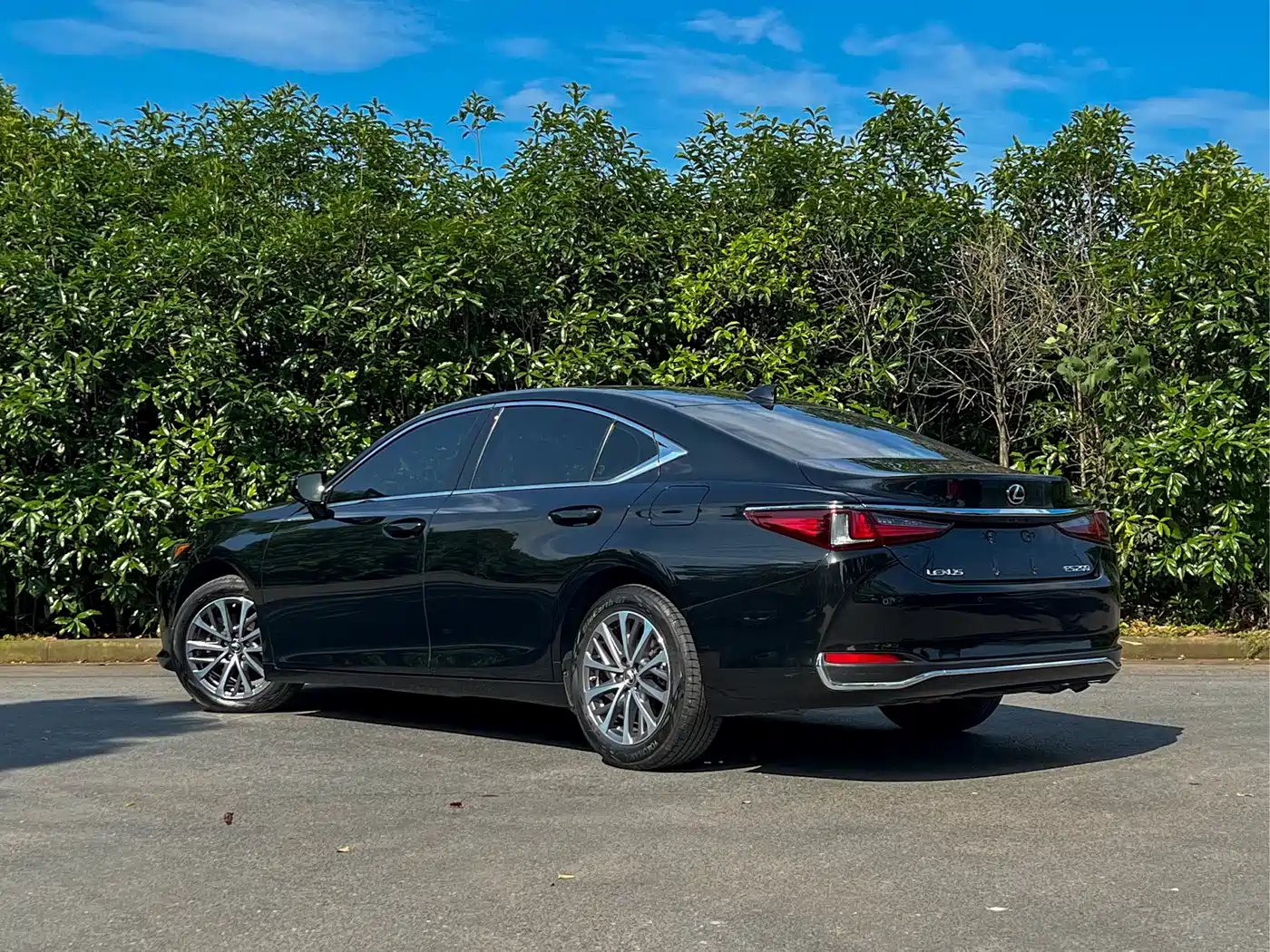 Lexus ES 2022 200 Excellence Edition фото 5