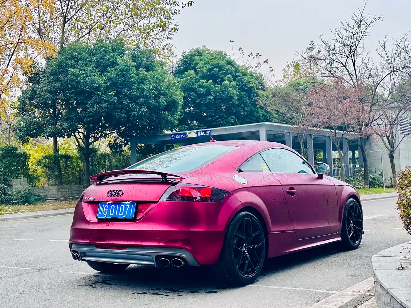 Audi TTS 2013 TTS Coupe 2.0TFSI quattro фото 6
