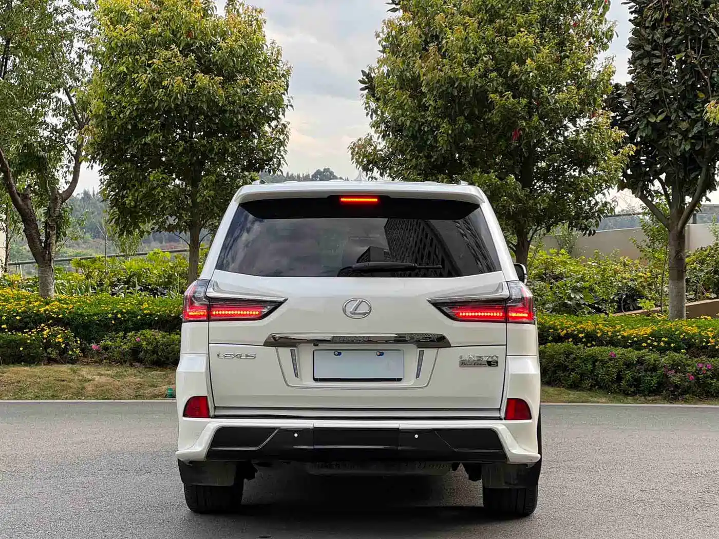 Lexus LX 2016 570 Luxury Premium Edition фото 10