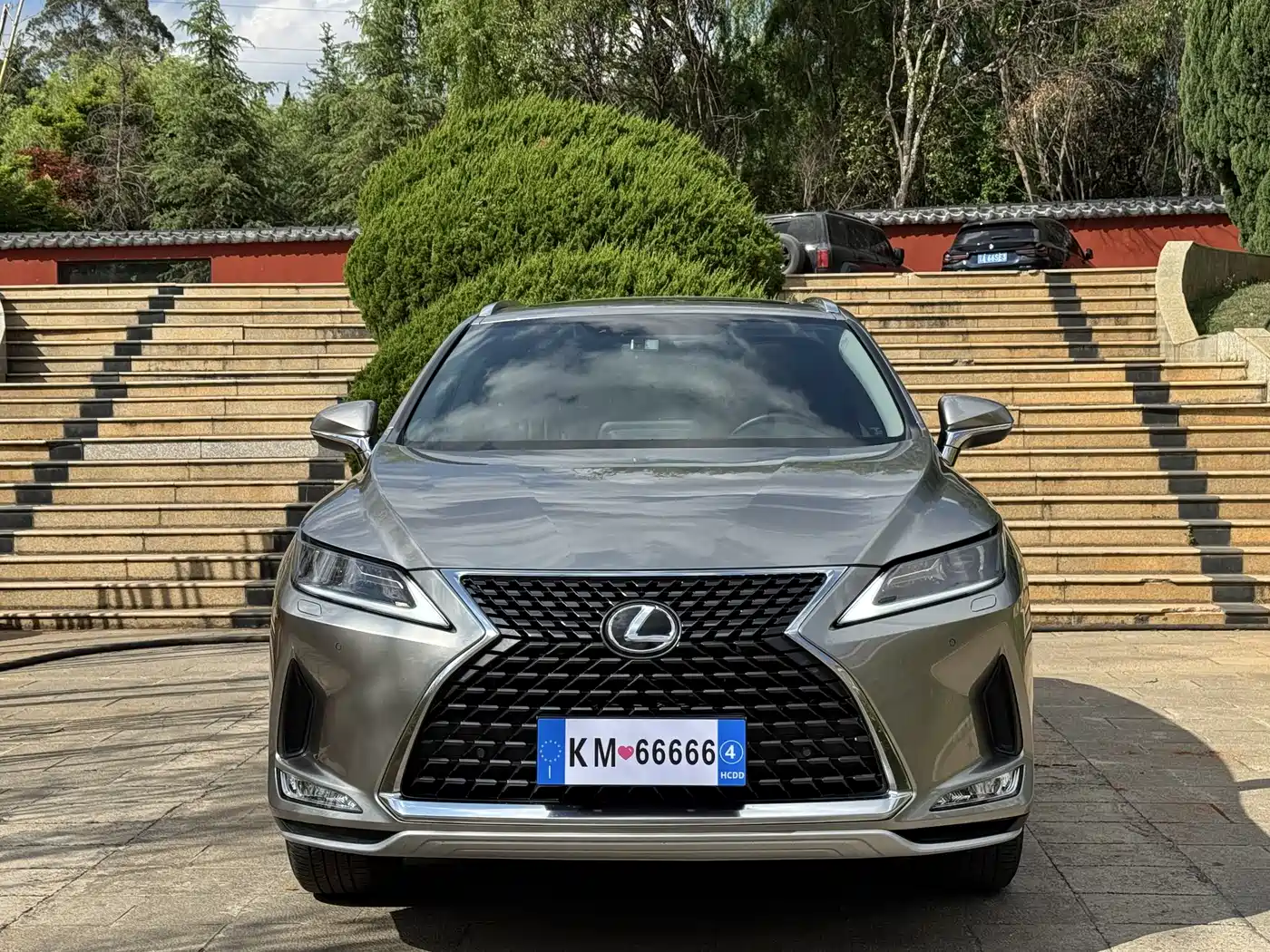 LEXUS RX