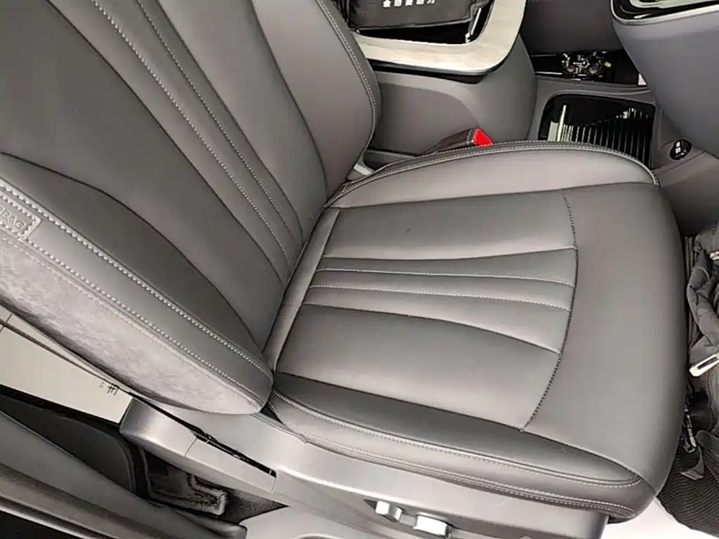 Hongqi HQ9 PHEV 2024 Model 2.0T AWD Business Edition фото 25