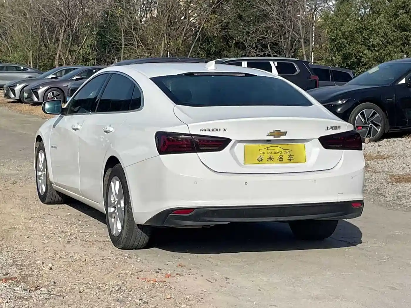 Chevrolet Malibu XL 2018 530T Auto RuiYi Edition фото 7