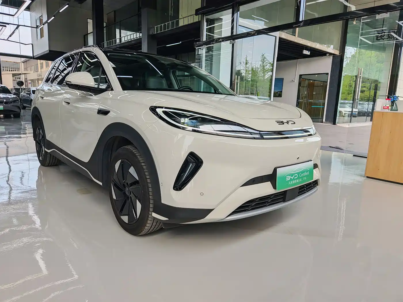 BYD Hai Shi 05 EV 2025 520KM Flagship Smart Navigation Edition фото 16