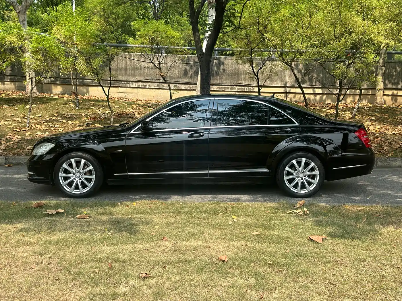 Mercedes-Benz S-Class 2012 S 300 L Luxury Grand Edition фото 7