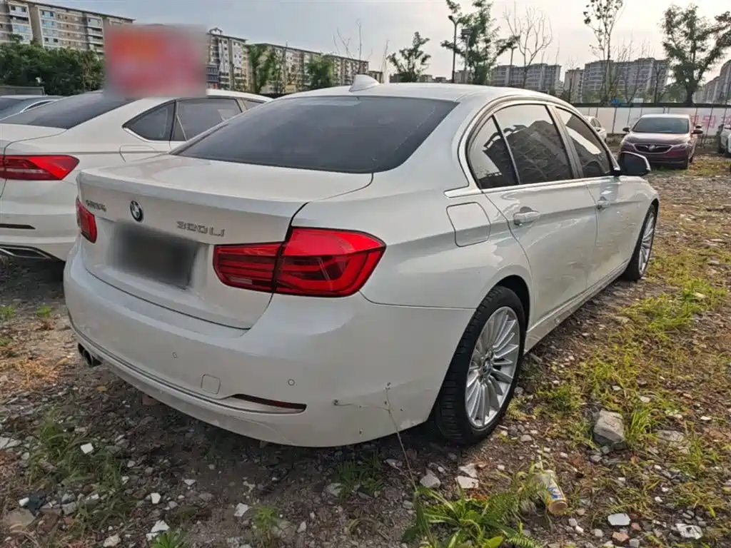 BMW 3 Series 2018 320Li Fashion Style фото 7