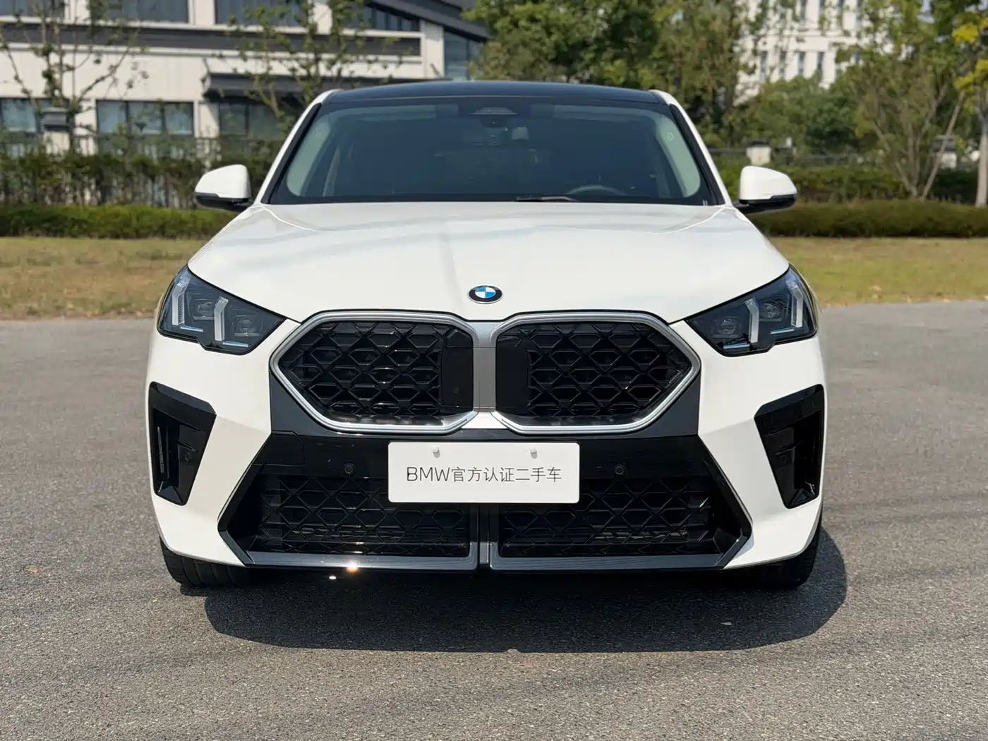 2025 BMW X2 (Import)