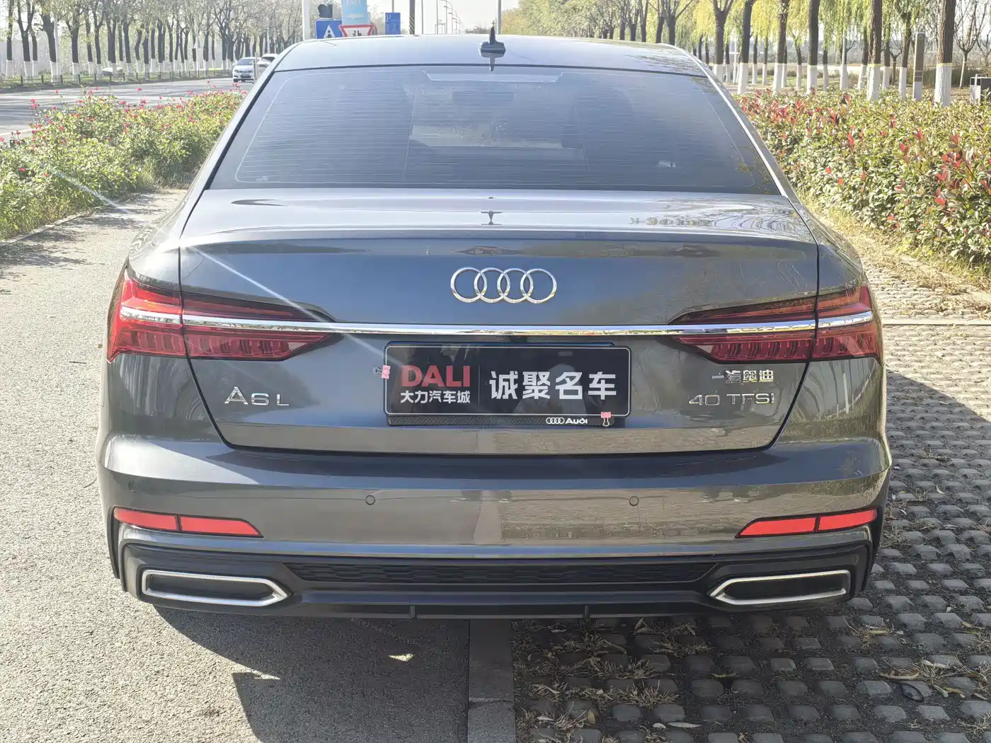 Audi A6L 2020 40 TFSI Luxury Dynamic фото 10
