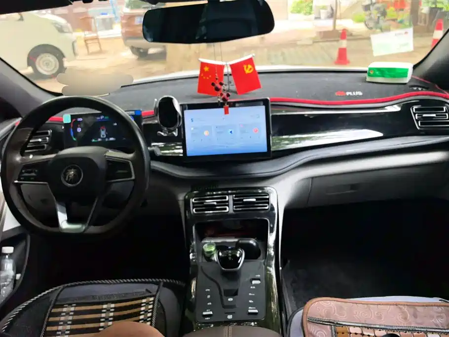 BYD Qin PLUS 2023 Champion Edition DM-i 55KM Leading фото 12