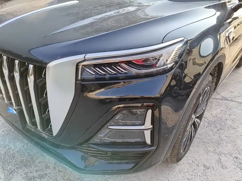صورة 24 - Hongqi HS5