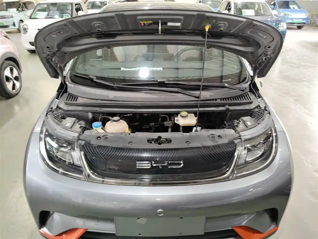 BYD Dolphin 2021 Model 405km Fashion Edition фото 16
