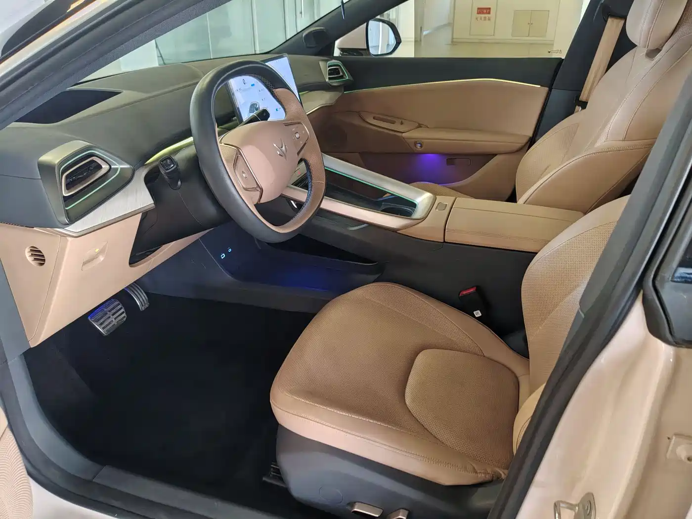 ARCFOX EXTREME FOX POLAR FOX ALPHA S5