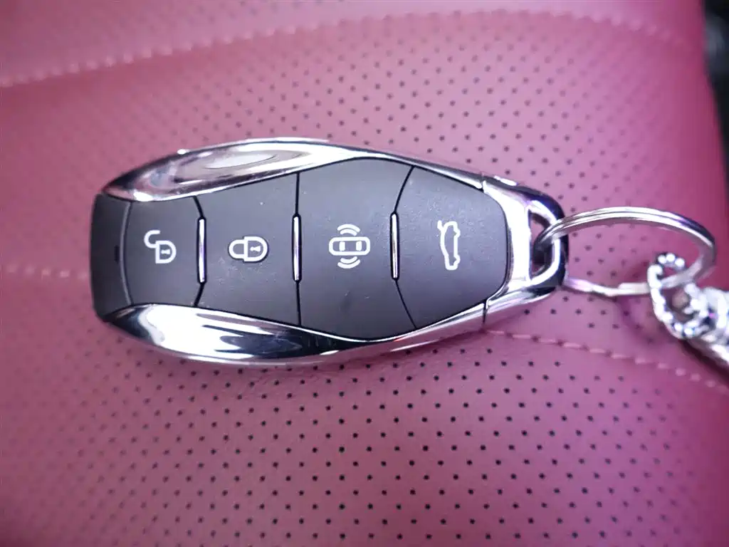 Hongqi H5 2024 2.0T Automatic Smart Connect Flag Smooth Edition фото 25