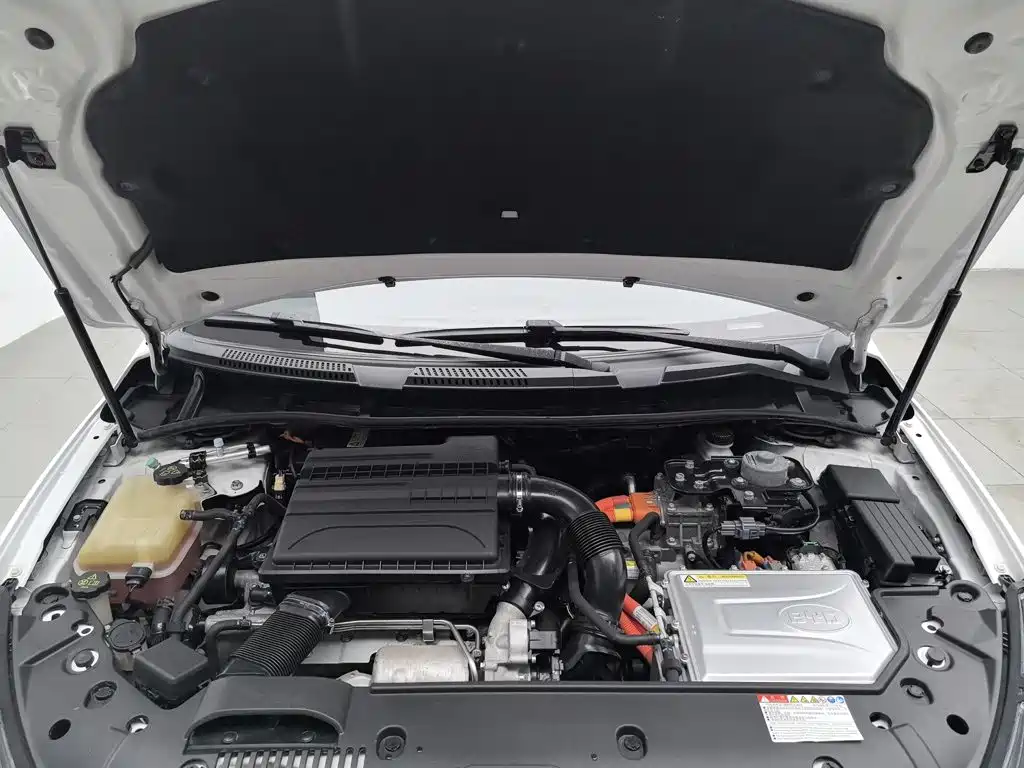 Фото 6 - BYD Qin New Energy