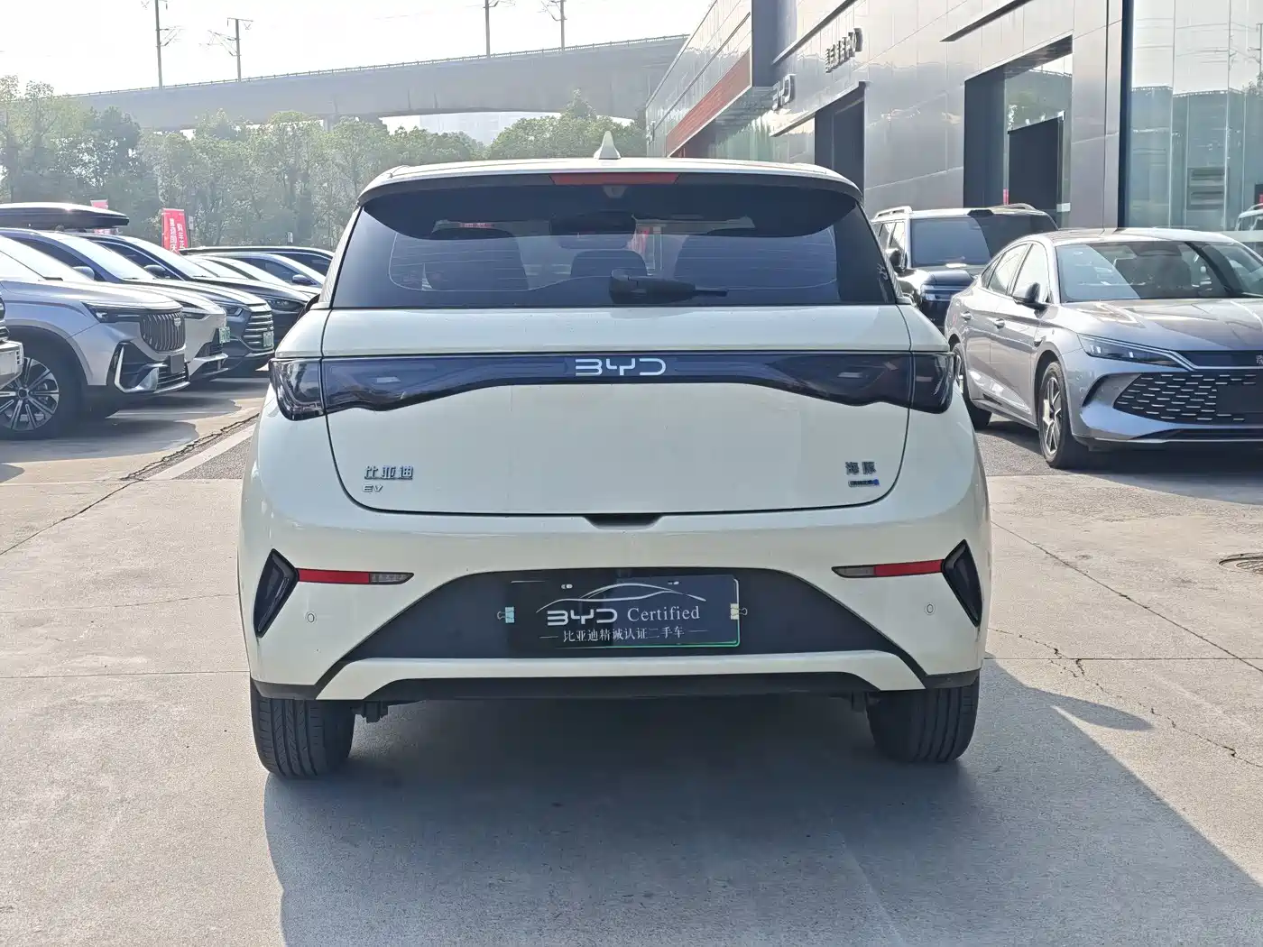 BYD Dolphin 2026 2025 Smart Drive Edition 410km Fashion Version