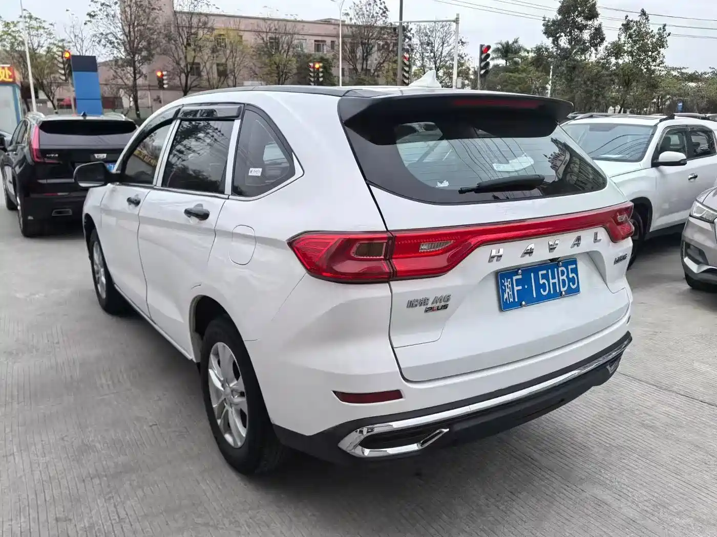 HAVAL M6