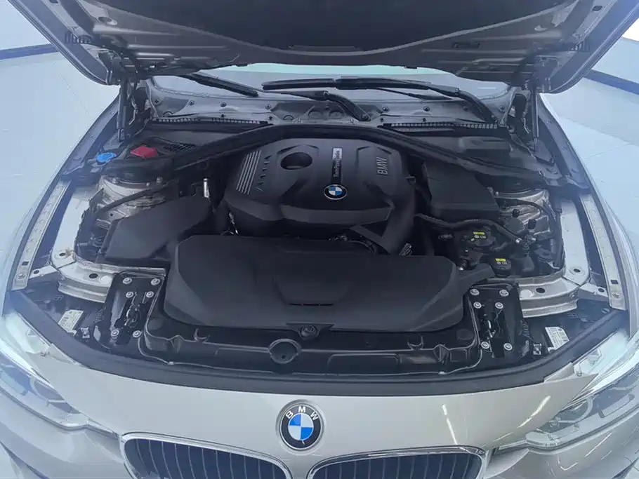 BMW 3 Series 2017 320Li Fashion фото 10