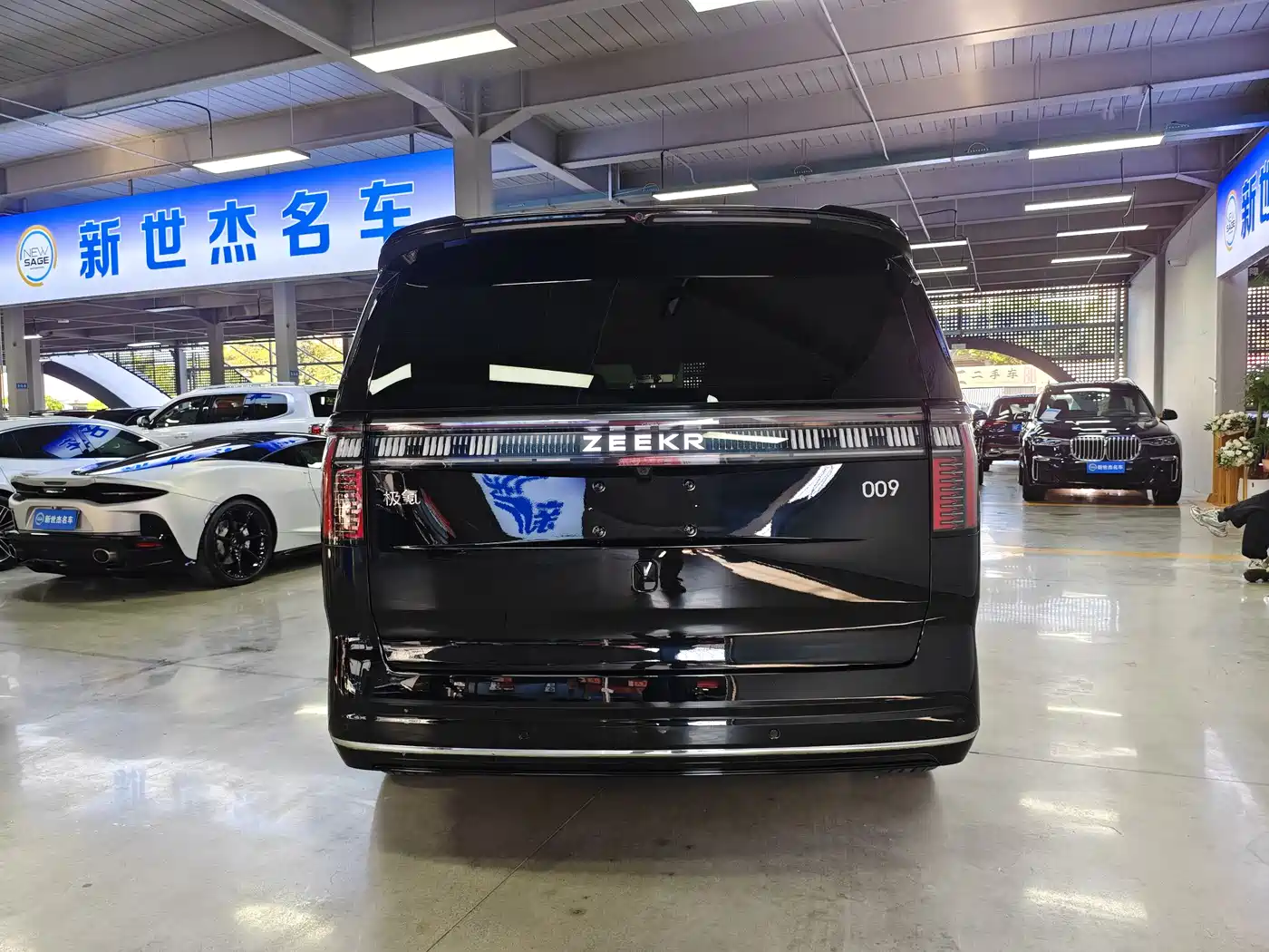 ZEEKR EXTREME KRYPTON 009