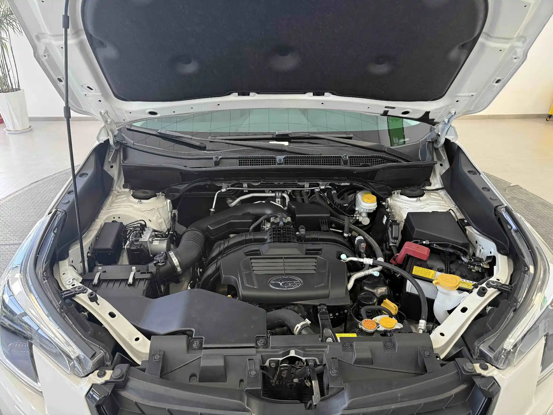 Photo 17 - Subaru Forester