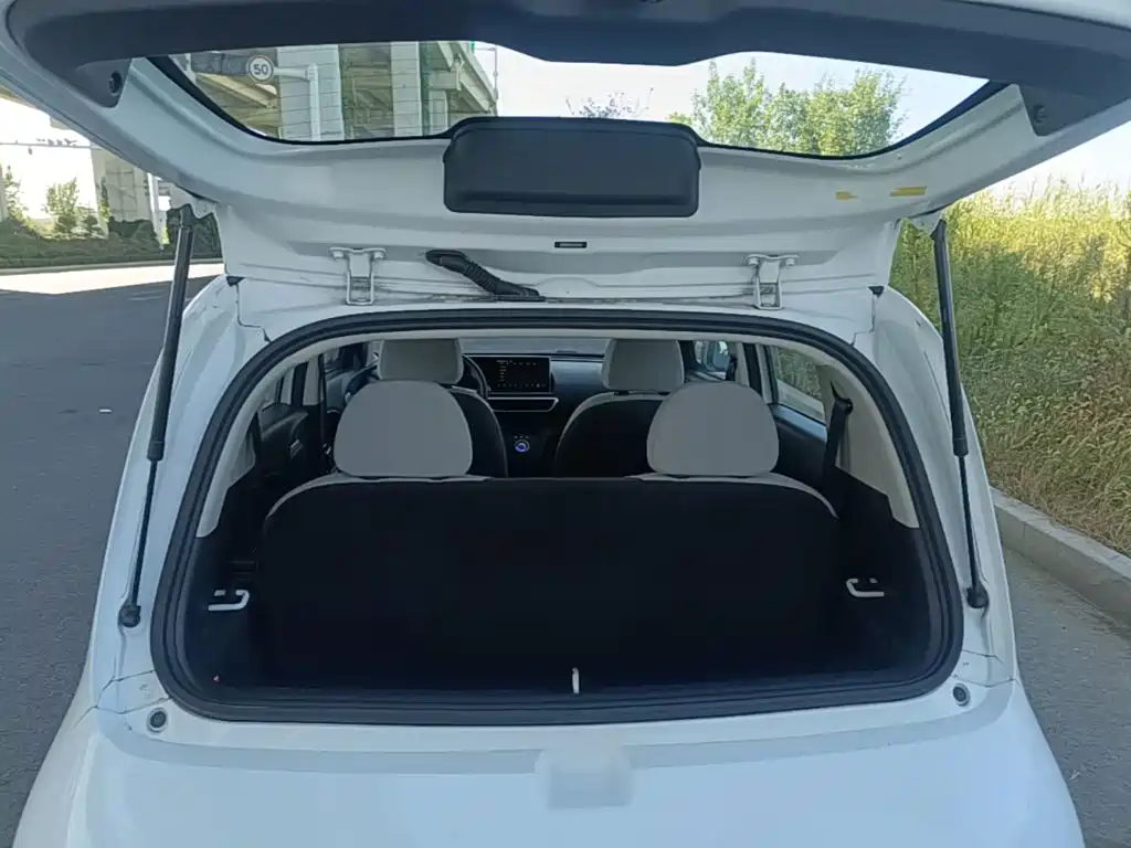 Ora White Cat 2020 2020 305km Luxury