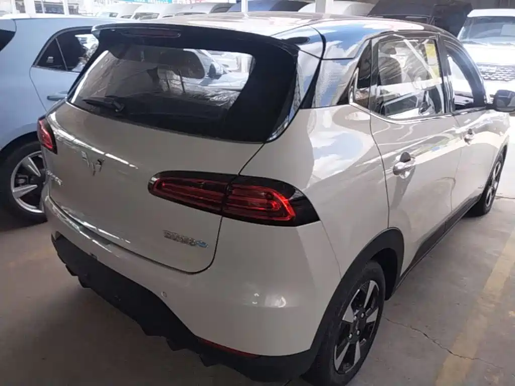 Wuling Motors Wuling Binguo PLUS 2026 2024 Model 330km 5-Seater
