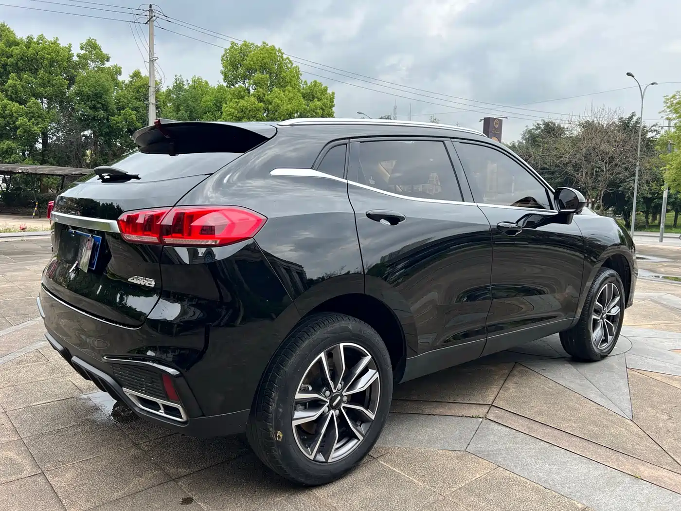 WEI PAI WEI BRAND VV5