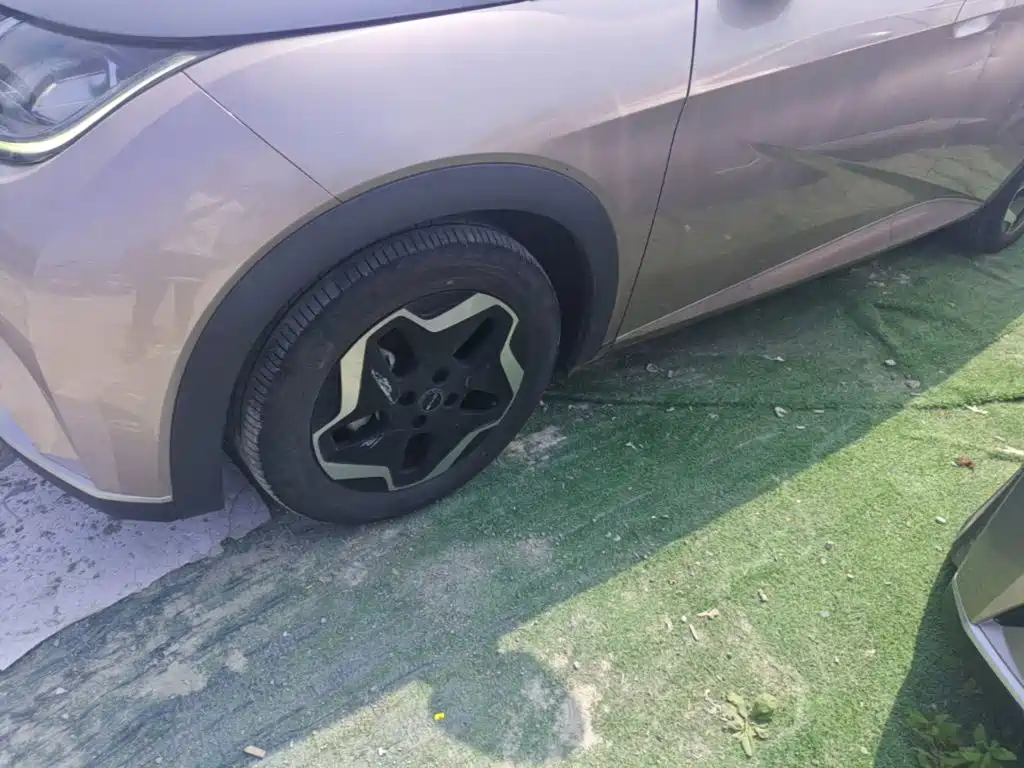 BYD Dolphin 2021 2021 Model 405km Fashion Edition