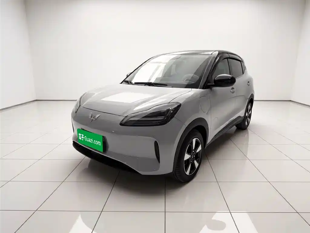 Фото 2 - Wuling Motors Wuling Binguo PLUS