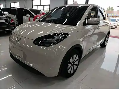 Wuling Bingo