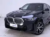 Photo 3 - BMW X6