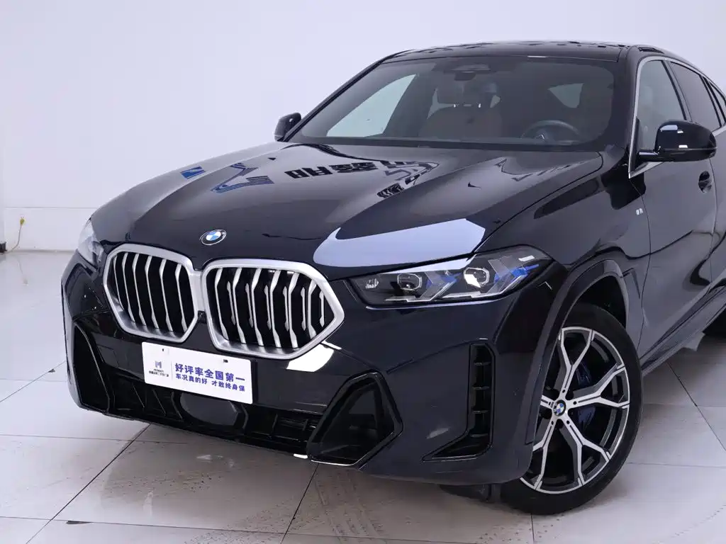 Photo 3 - BMW X6