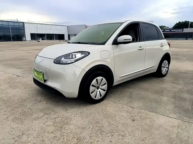 Wuling Bingo 203km, Лайт