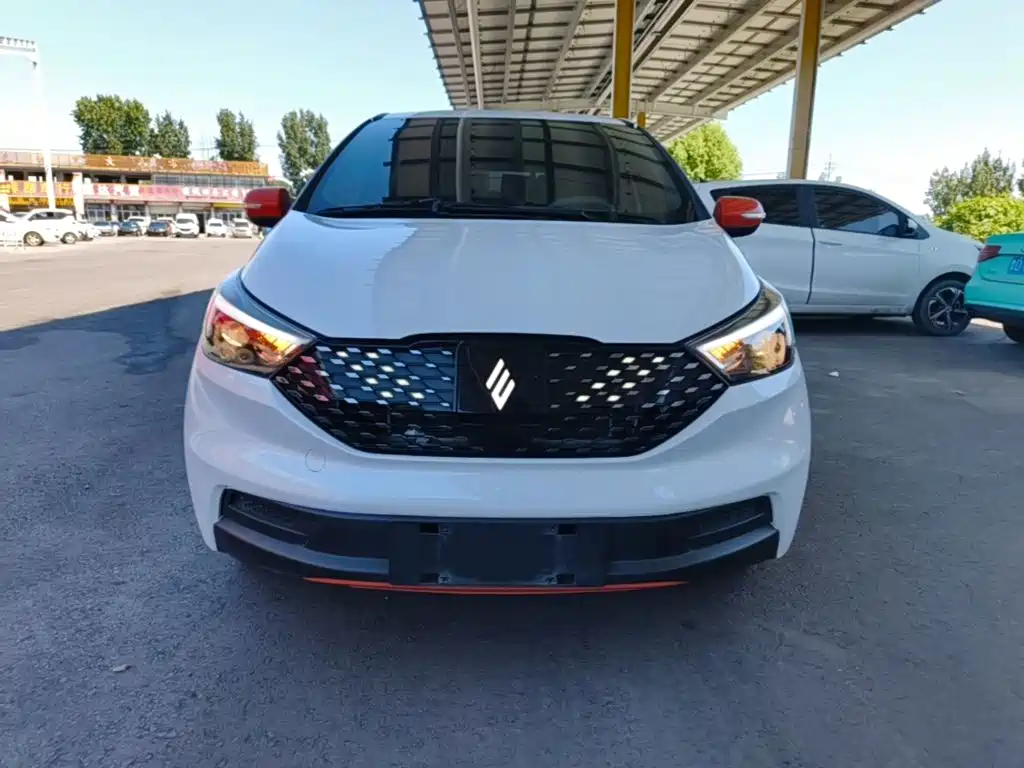JMCG New Energy Yizhi EV3 2024 2024 Youth Edition 330KM Comfort