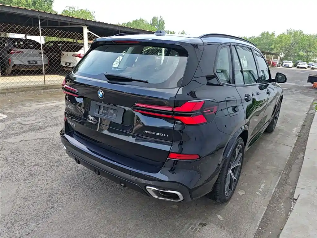 BMW X5 2023 xDrive 30Li Premium M Sport Black Night Package фото 7