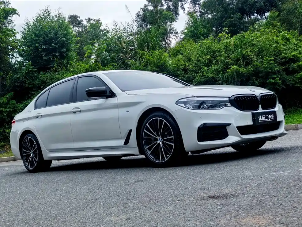 BMW 5 Series 2019 Facelift 530Li Premium M Sport Package фото 3