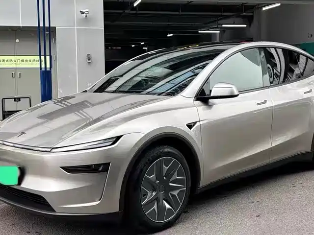 Tesla Model Y L, фото 1
