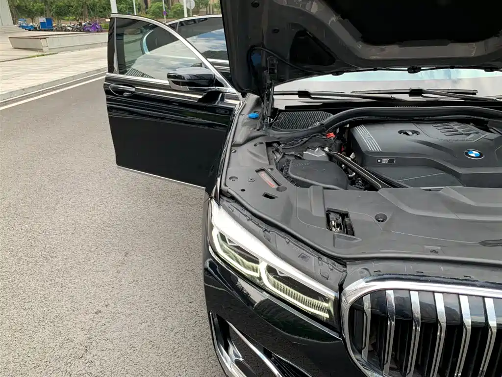BMW 7 Series 2021 Model 730Li Luxury Package фото 20
