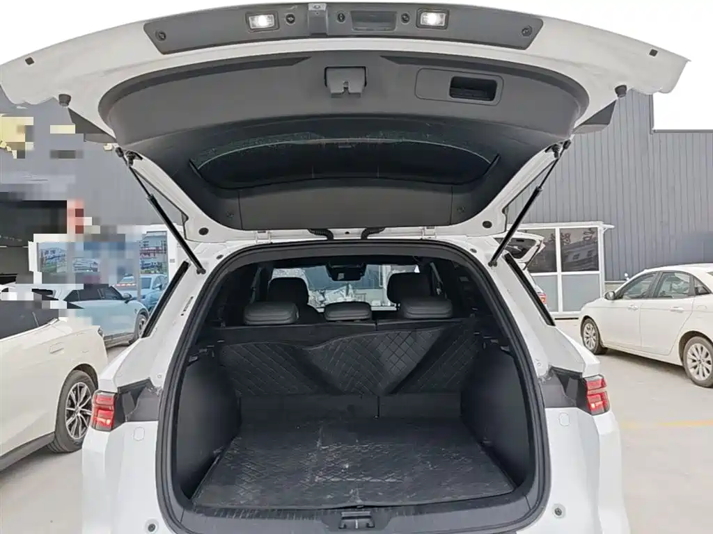 BYD Song Pro New Energy 2025 2nd Generation Smart Drive Edition DM-i 75KM Leading Type фото 19
