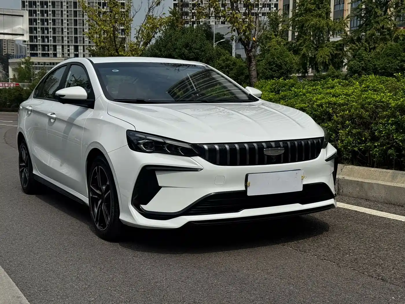 Фото 3 - Geely Binrui