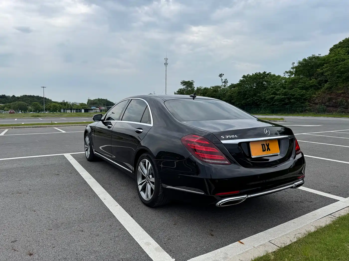 Mercedes-Benz S-Class 2020 S 350 L Premium Edition Collector's Version фото 4