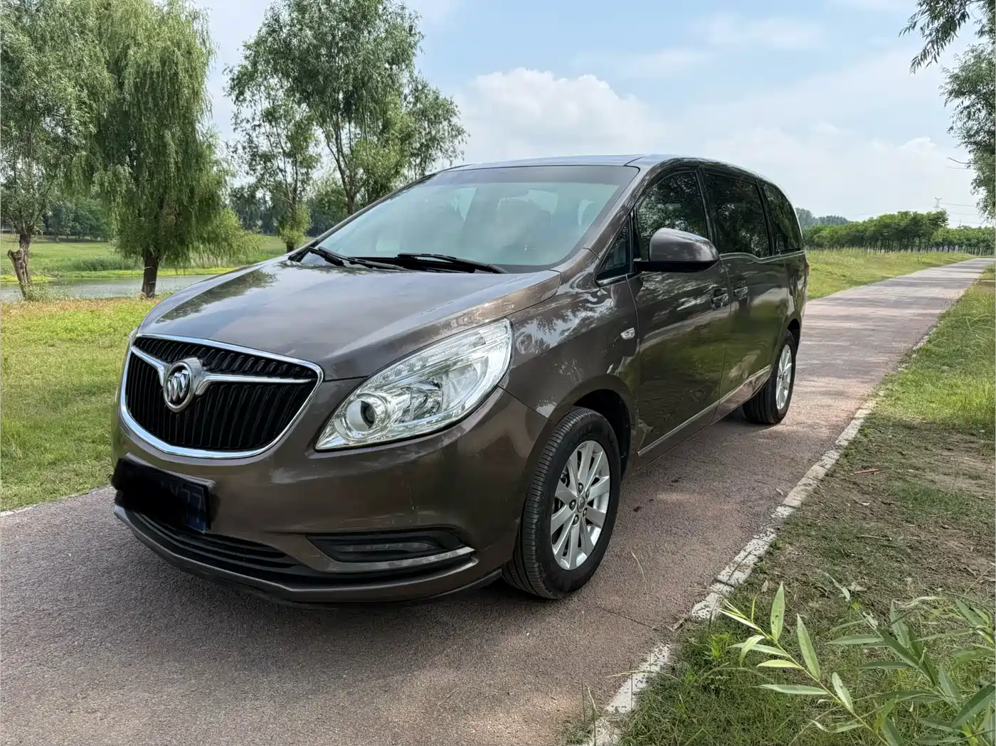 Buick GL8 2017 25S Luxury China V
