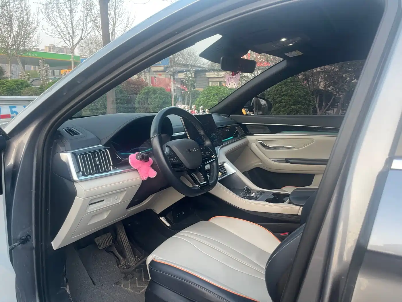 BYD SONGJIANG NEW ENERGY