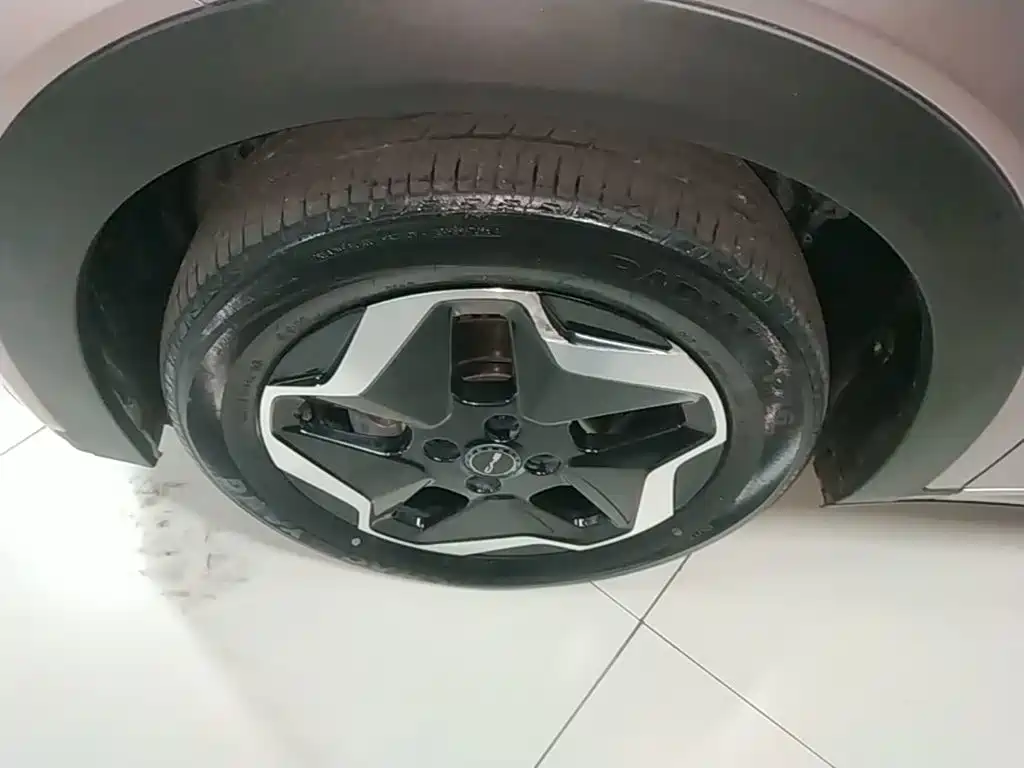 BYD Dolphin 2021 2021 Model 405km Fashion Edition