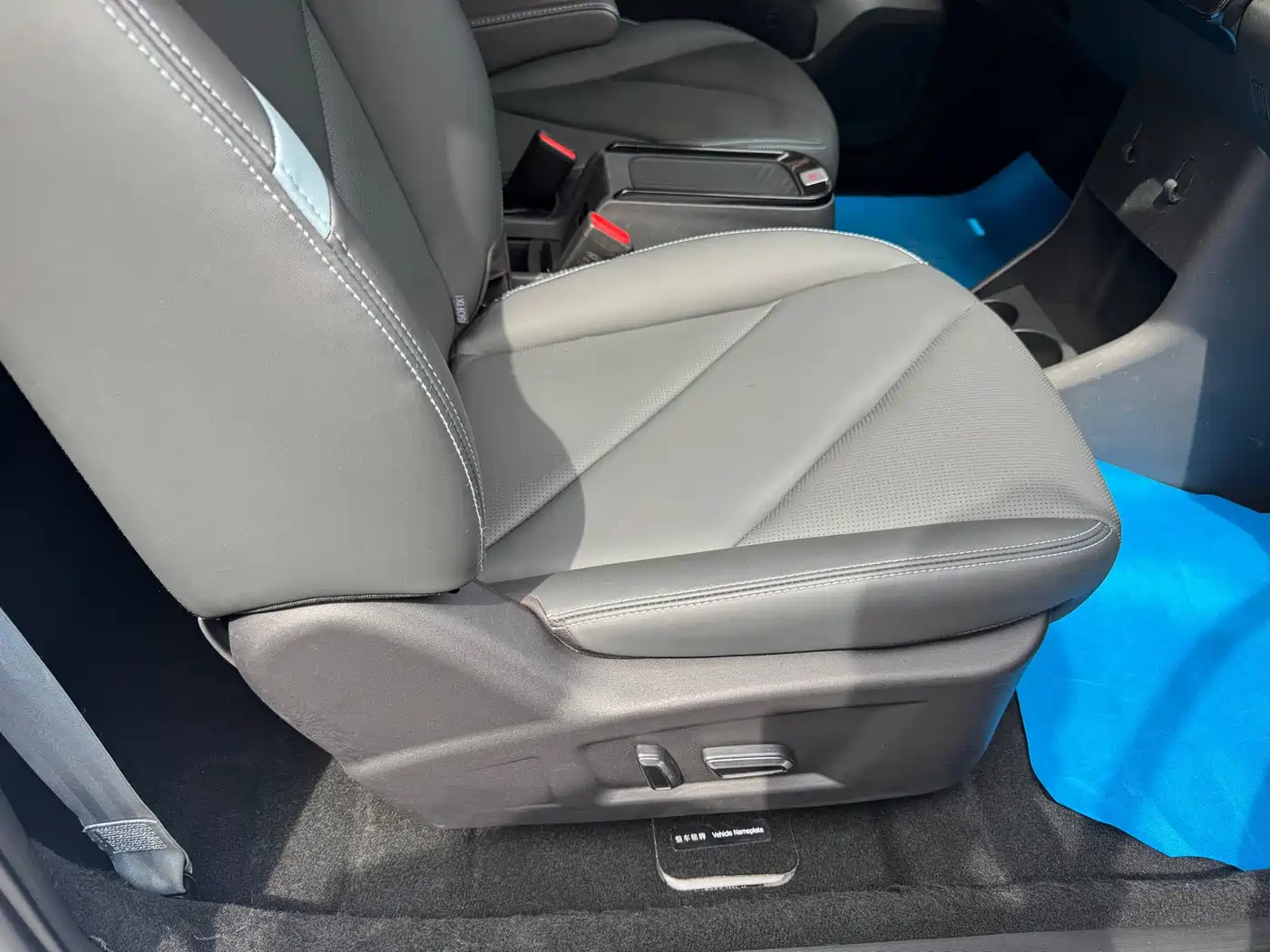 Chery New Energy Chery Wujie Pro 2023 2022 301km Mythical Beast Edition LFP