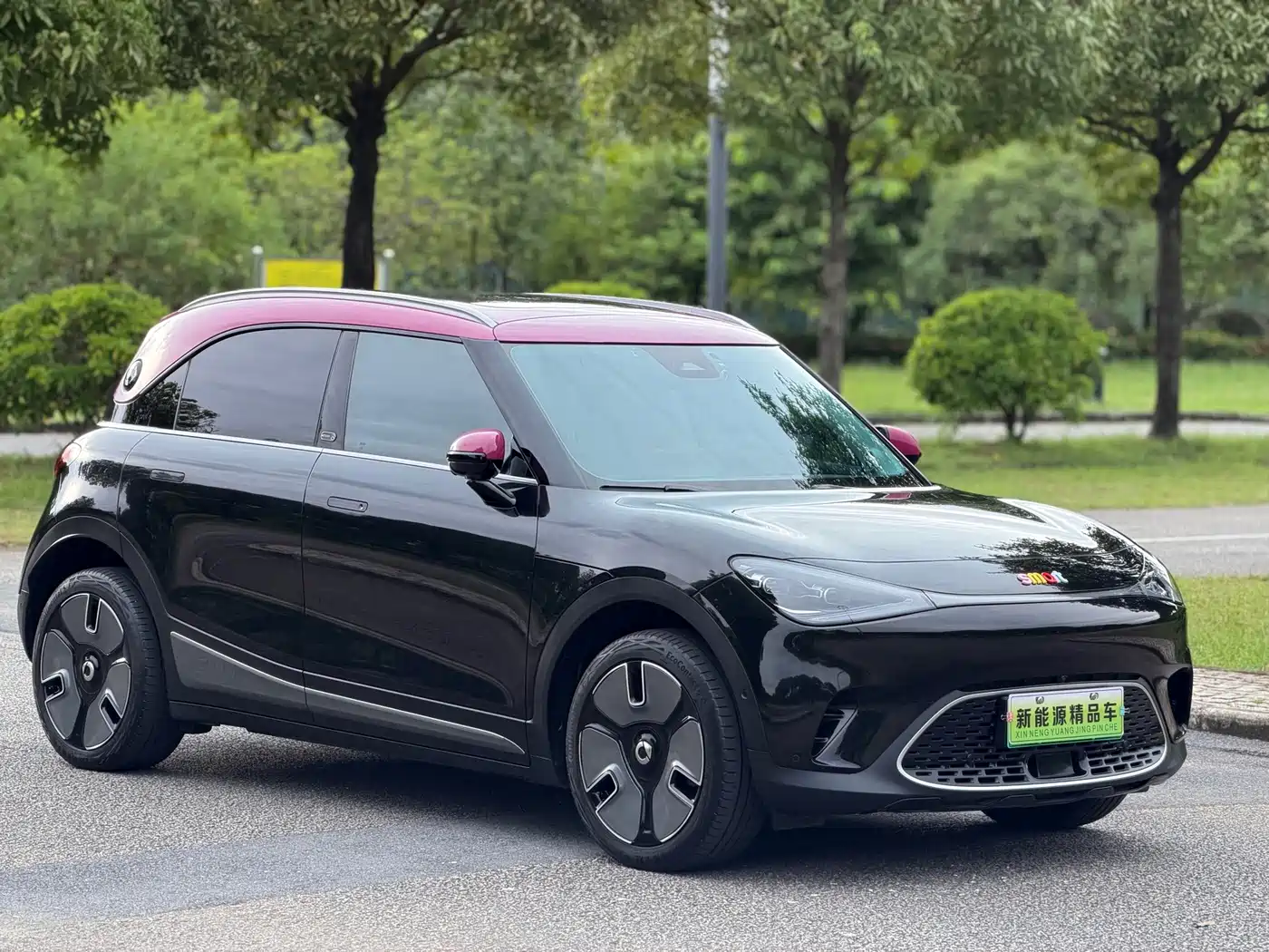 smart Elf #1 2022 2022 Premium Edition
